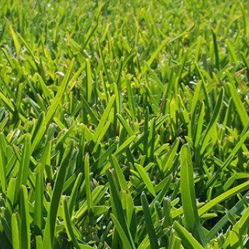 Terreno  en Barrio Santo Tomas