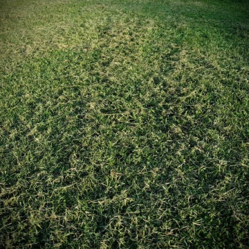 Terreno - Pilar