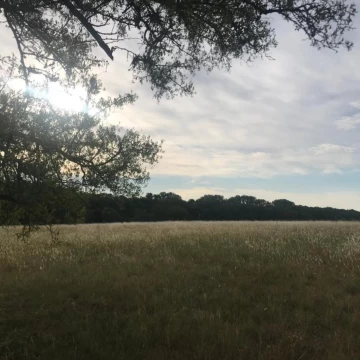 Lote en venta  de 11.750 mts2 Barrio La Ranita Club de Campo.
