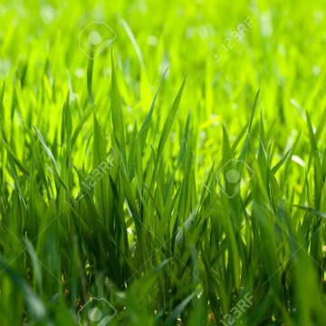 Terreno central en venta en Santo Tomás
