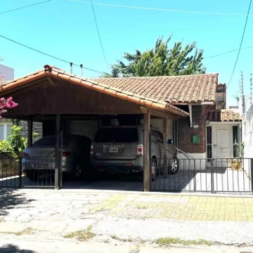 Lainez 1500