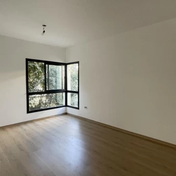 1729005861.jpg