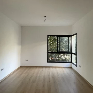 1729005863.jpg