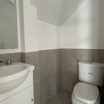 1729009455.jpg