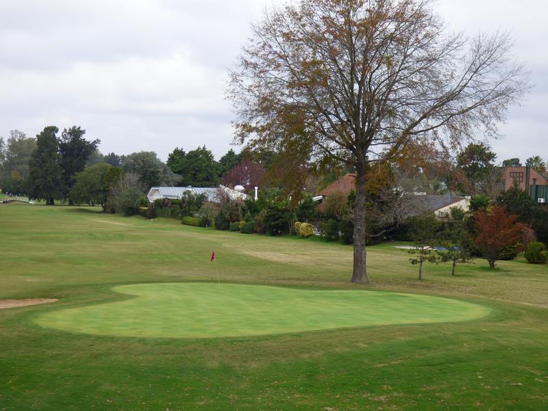 image 14