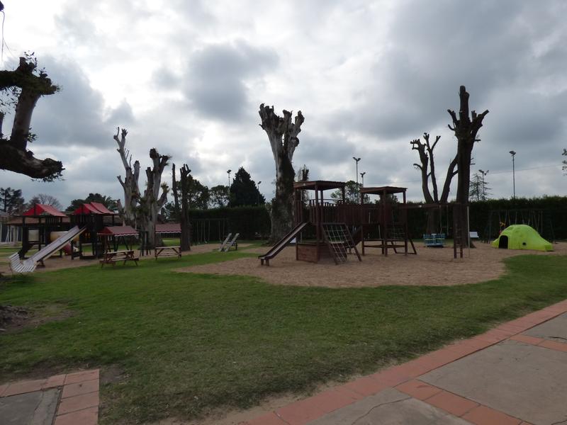 image 22