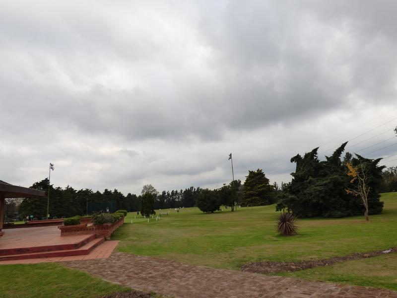 image 29