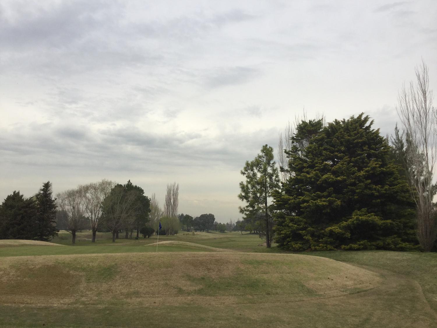 image 15