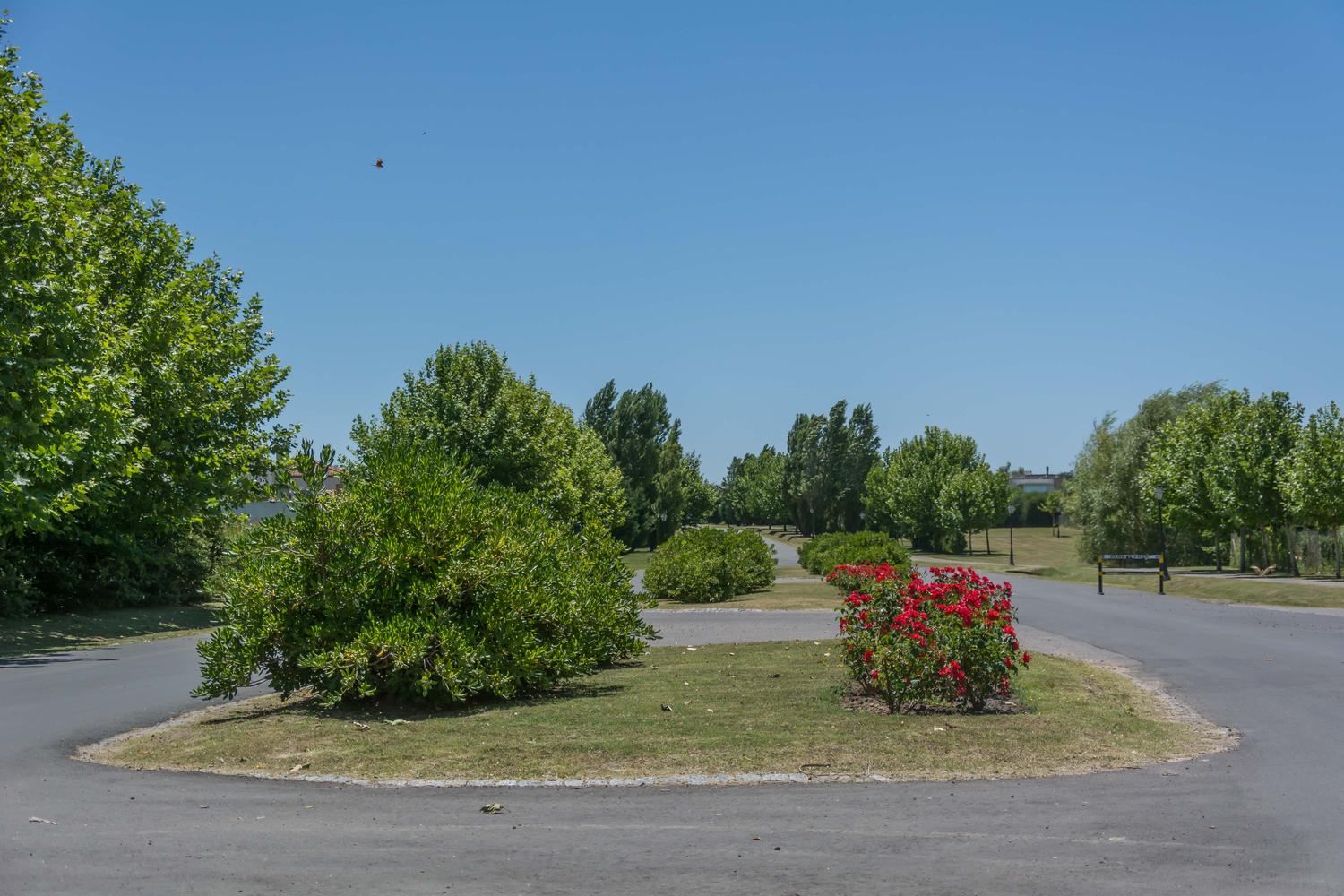 image 37