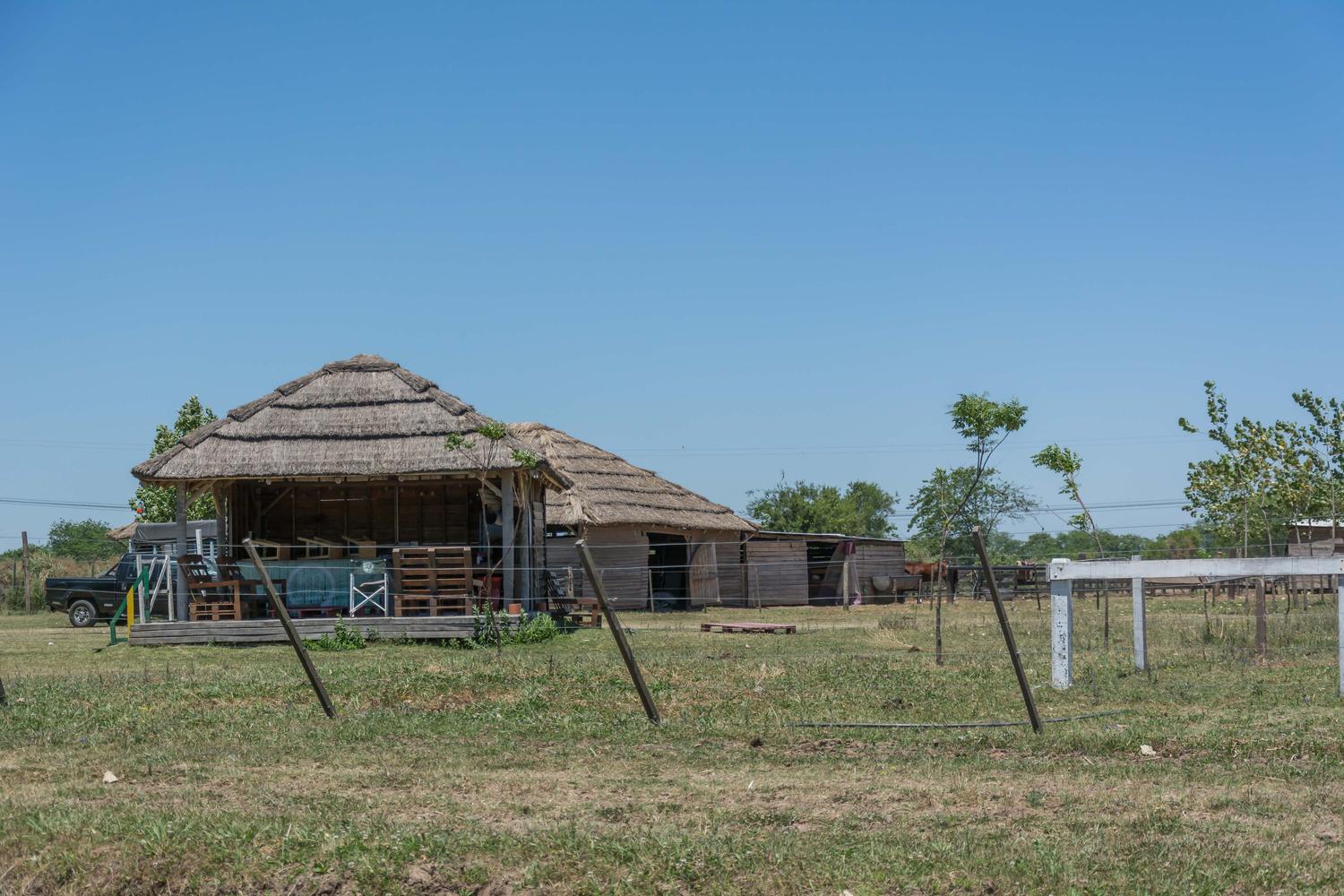 image 41