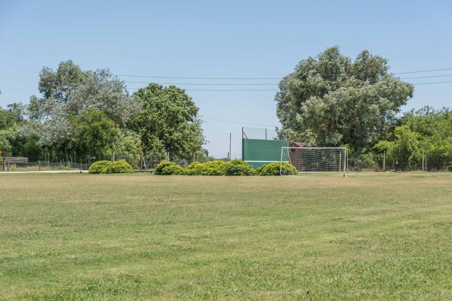 image 50