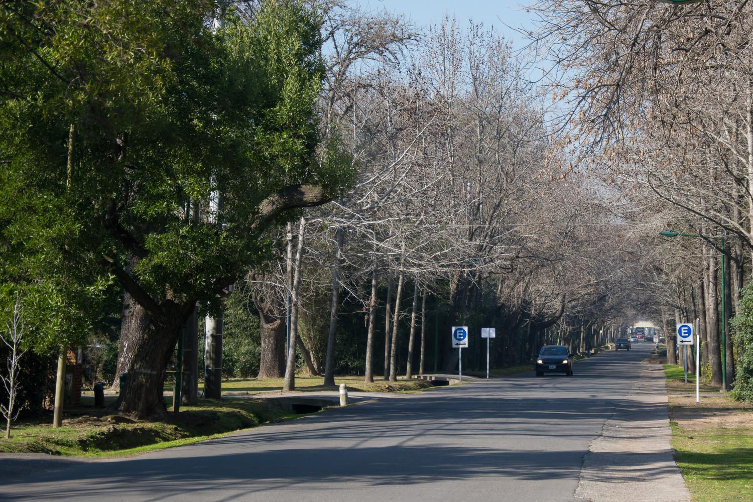 Calle Principal
