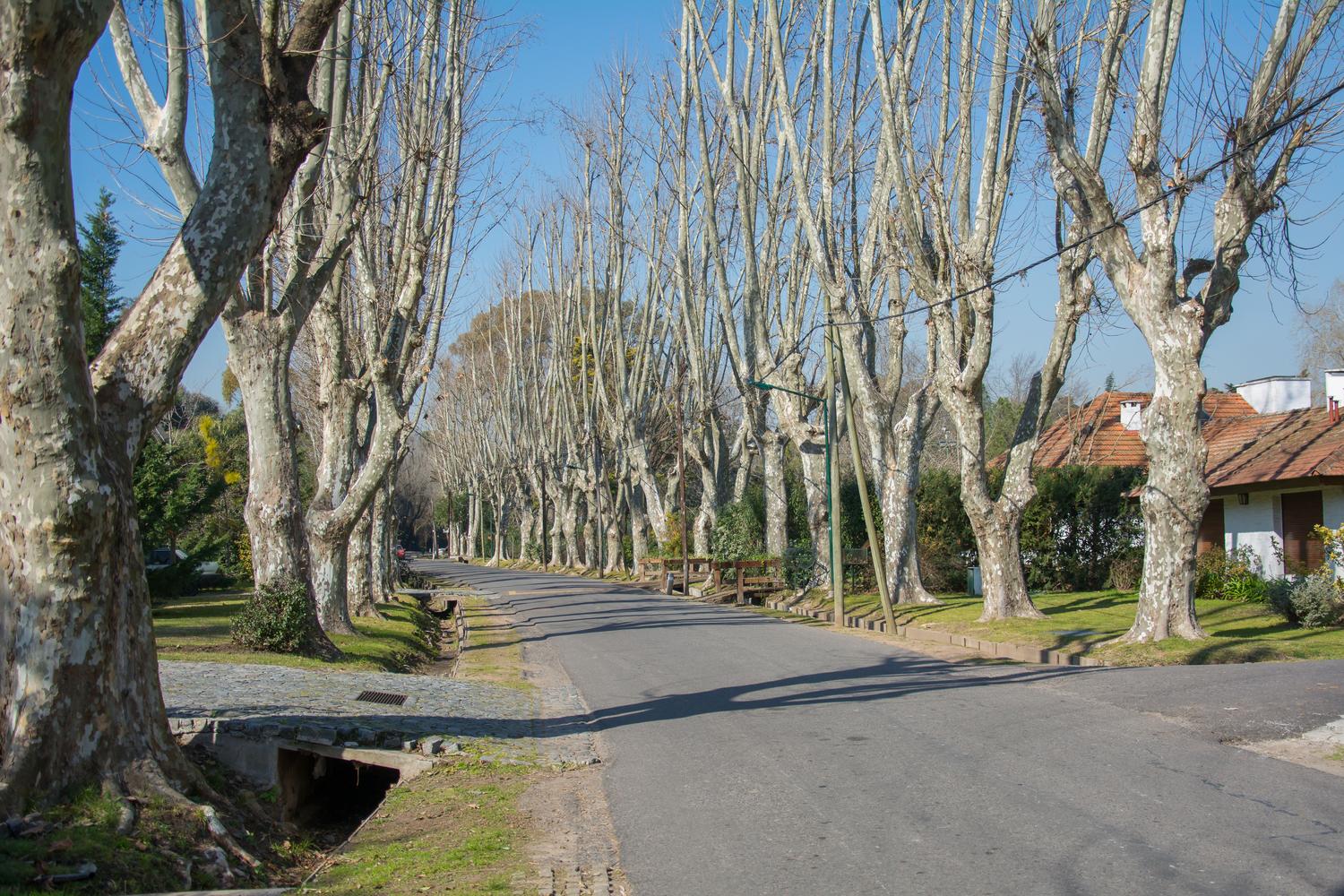 Calles internas