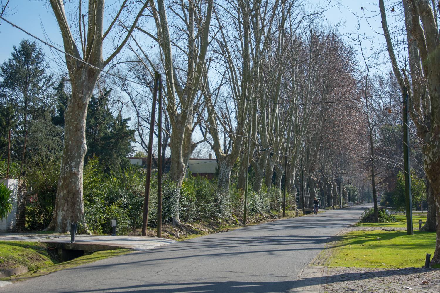 Calles internas