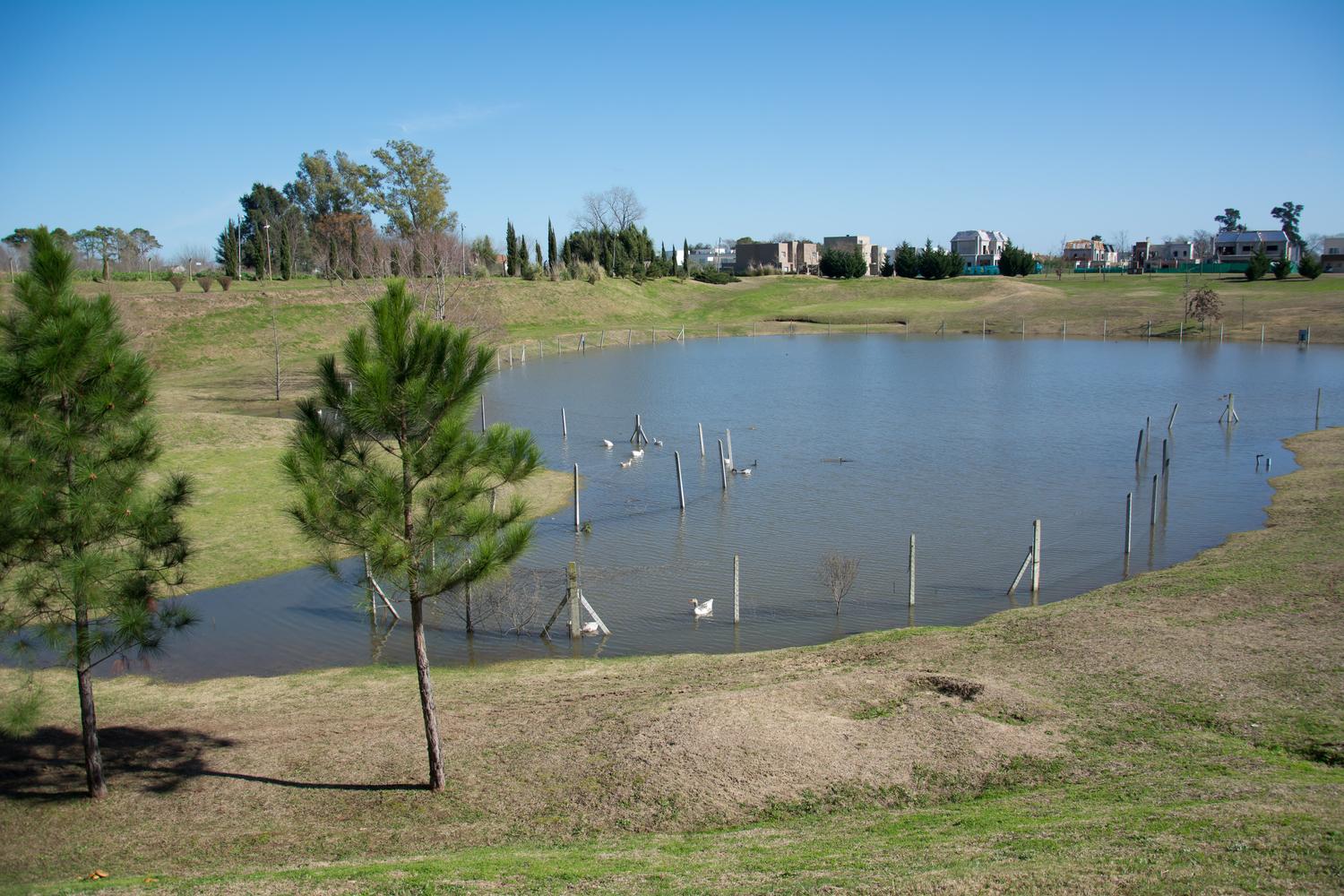 Laguna