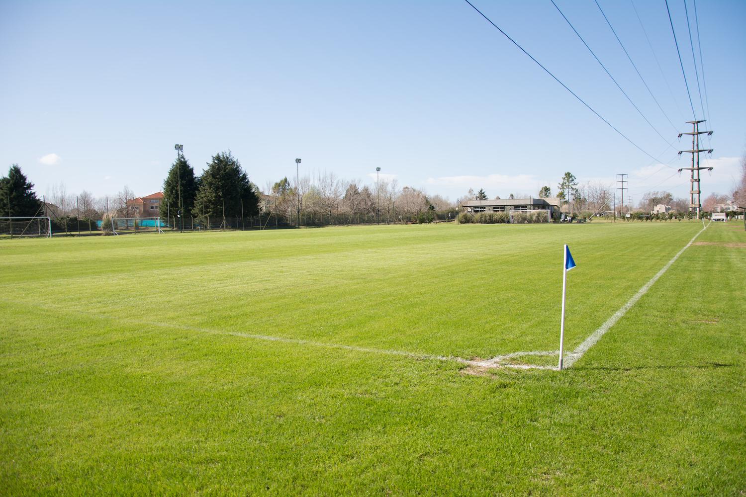 Cancha