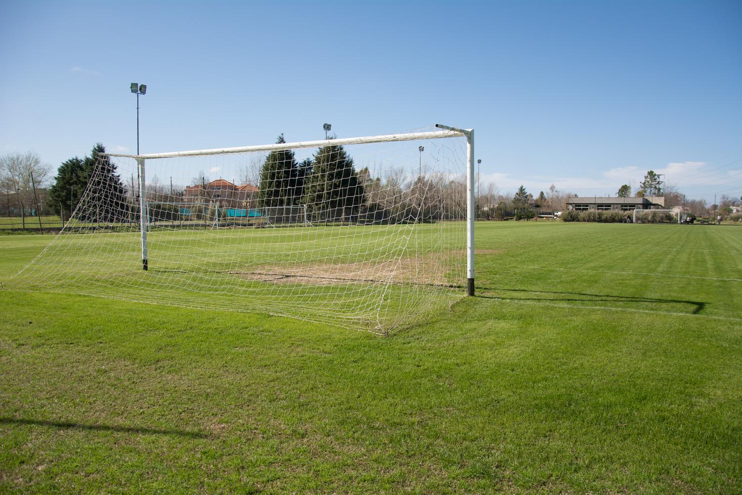 Cancha