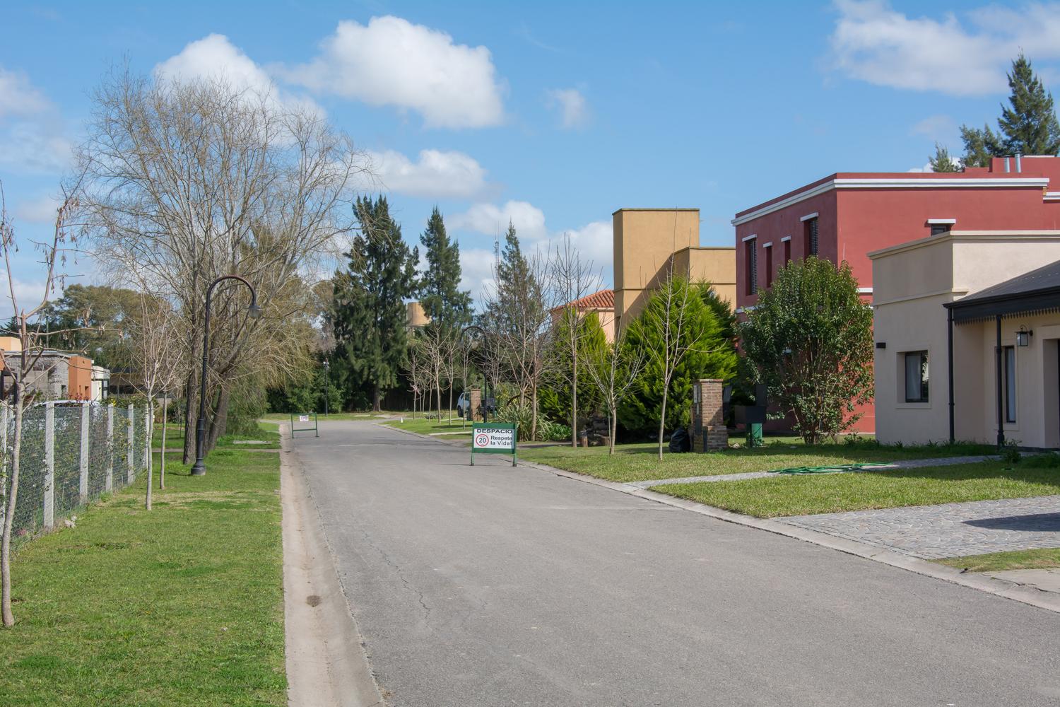 Calle interna