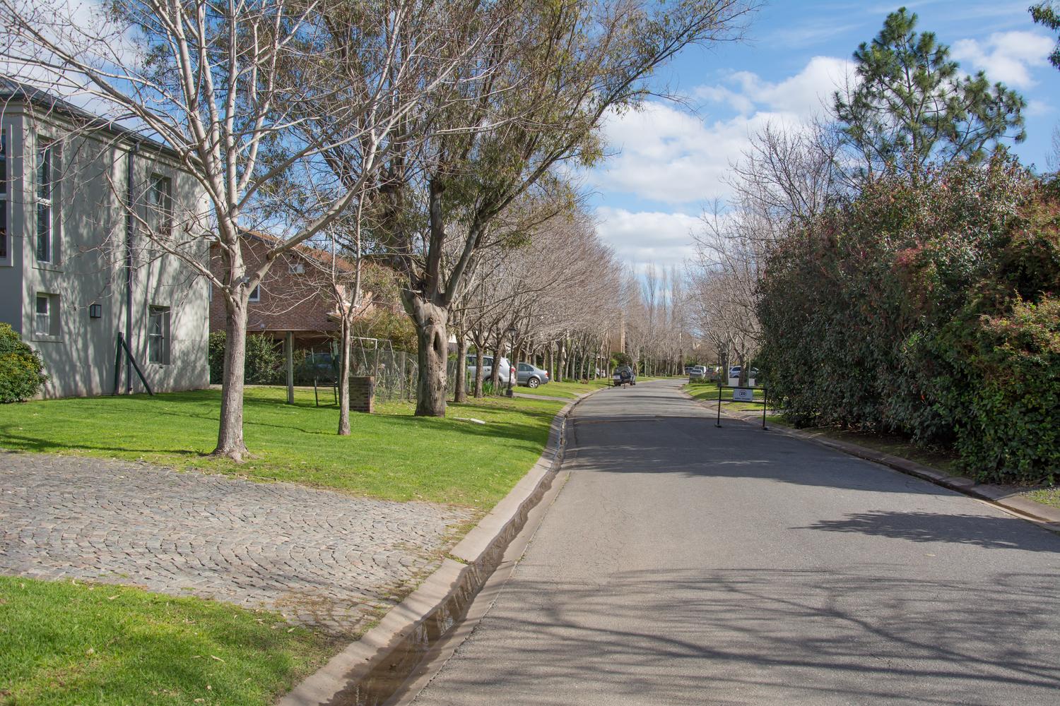 Calle interna