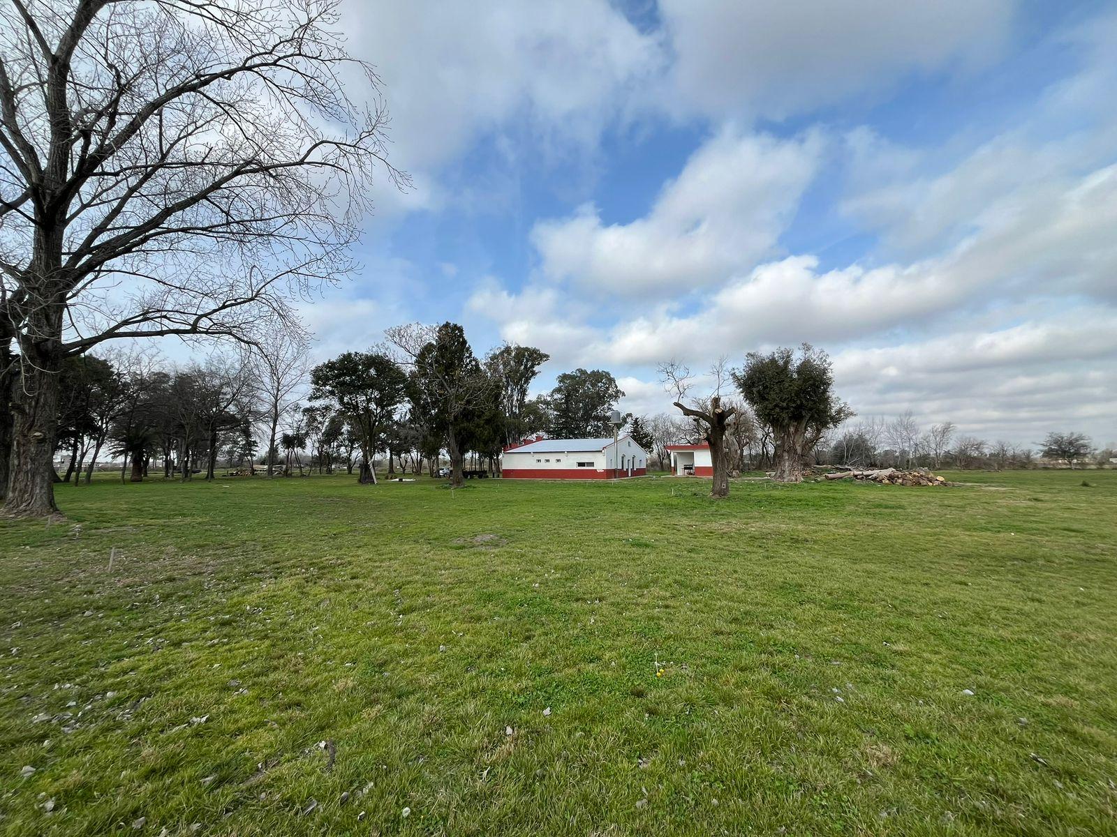 image 14