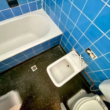 1729873646.jpg