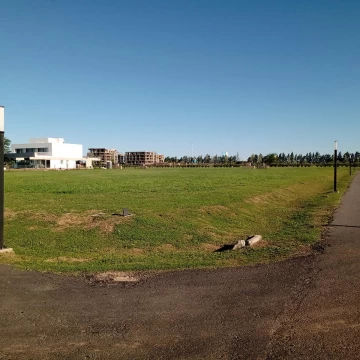 1730211176.jpg