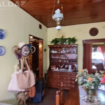 1730930778.jpeg