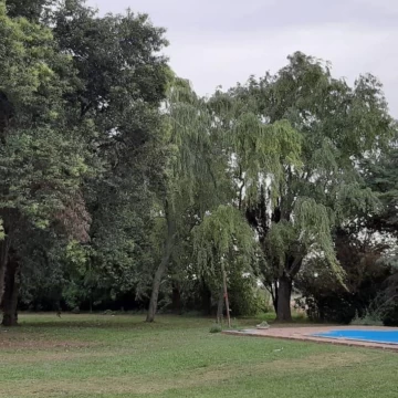 Campo de 30 hectáreas en Pergamino
