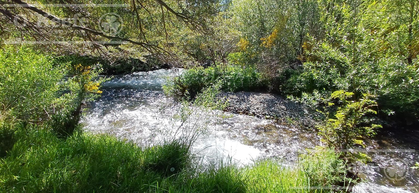 image 31