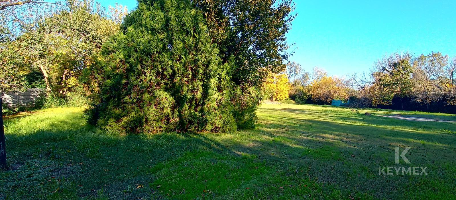 image 25