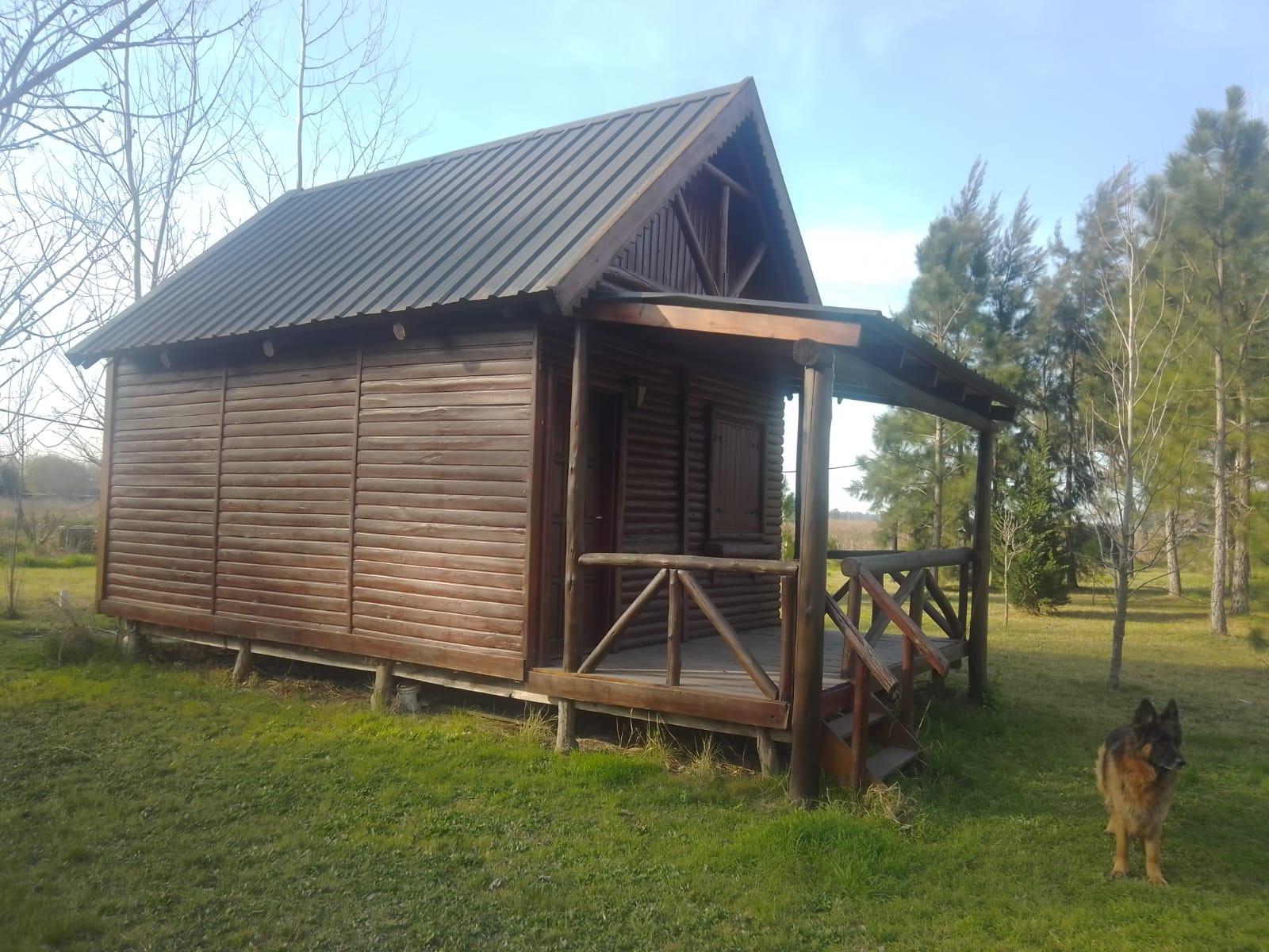 image 33
