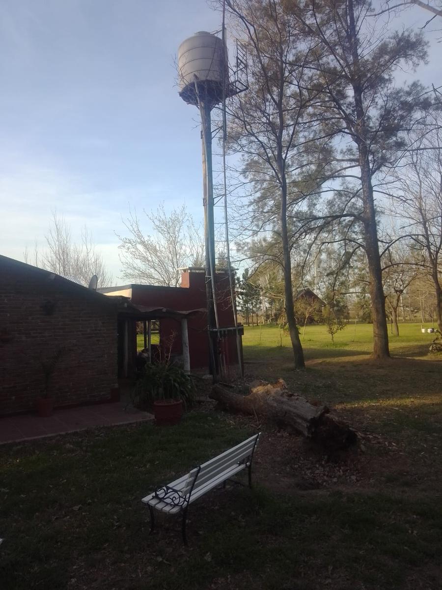 image 41