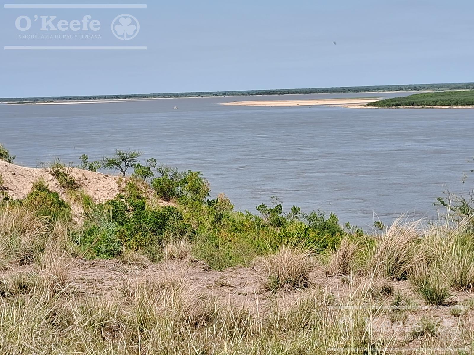 image 23