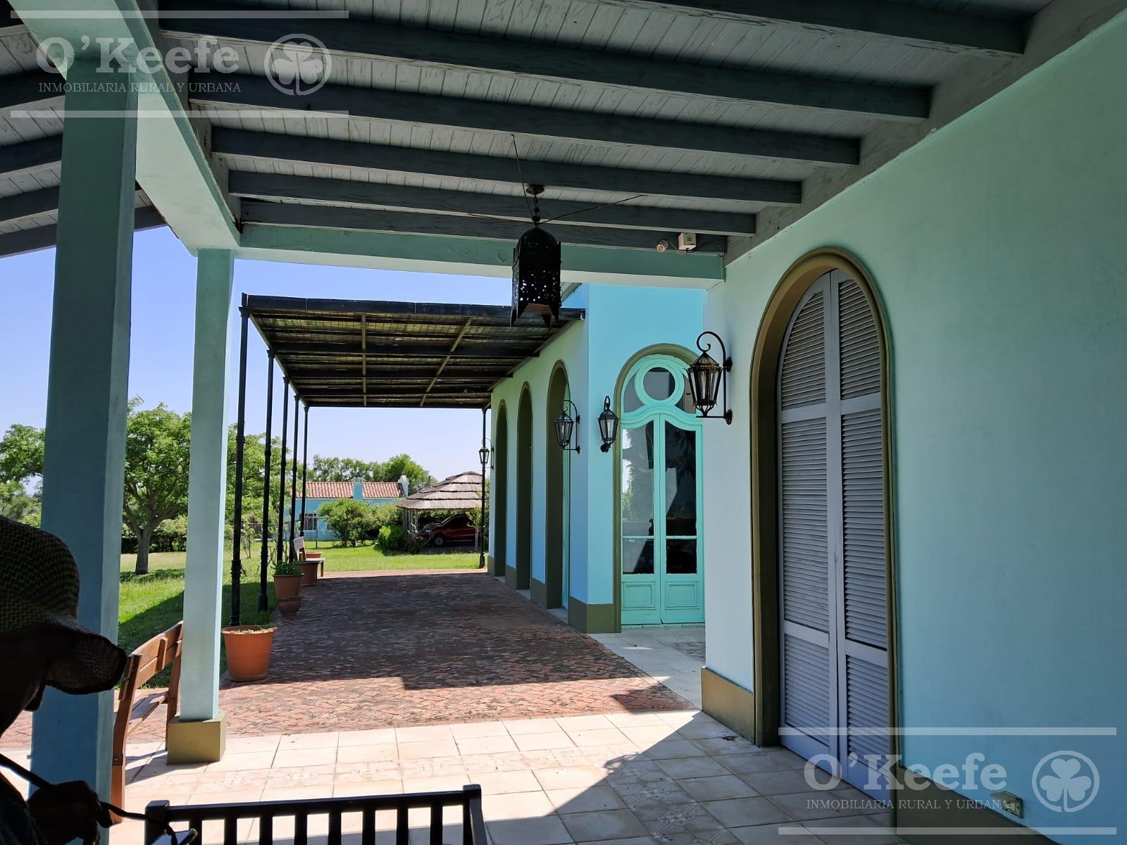image 36
