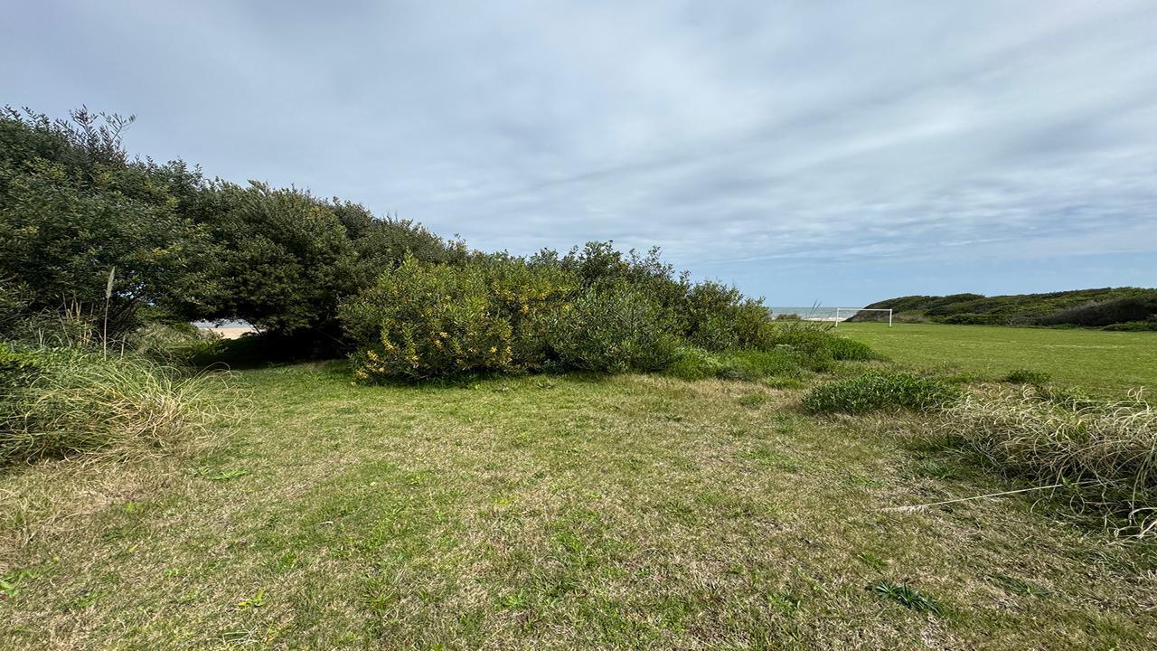 image 28