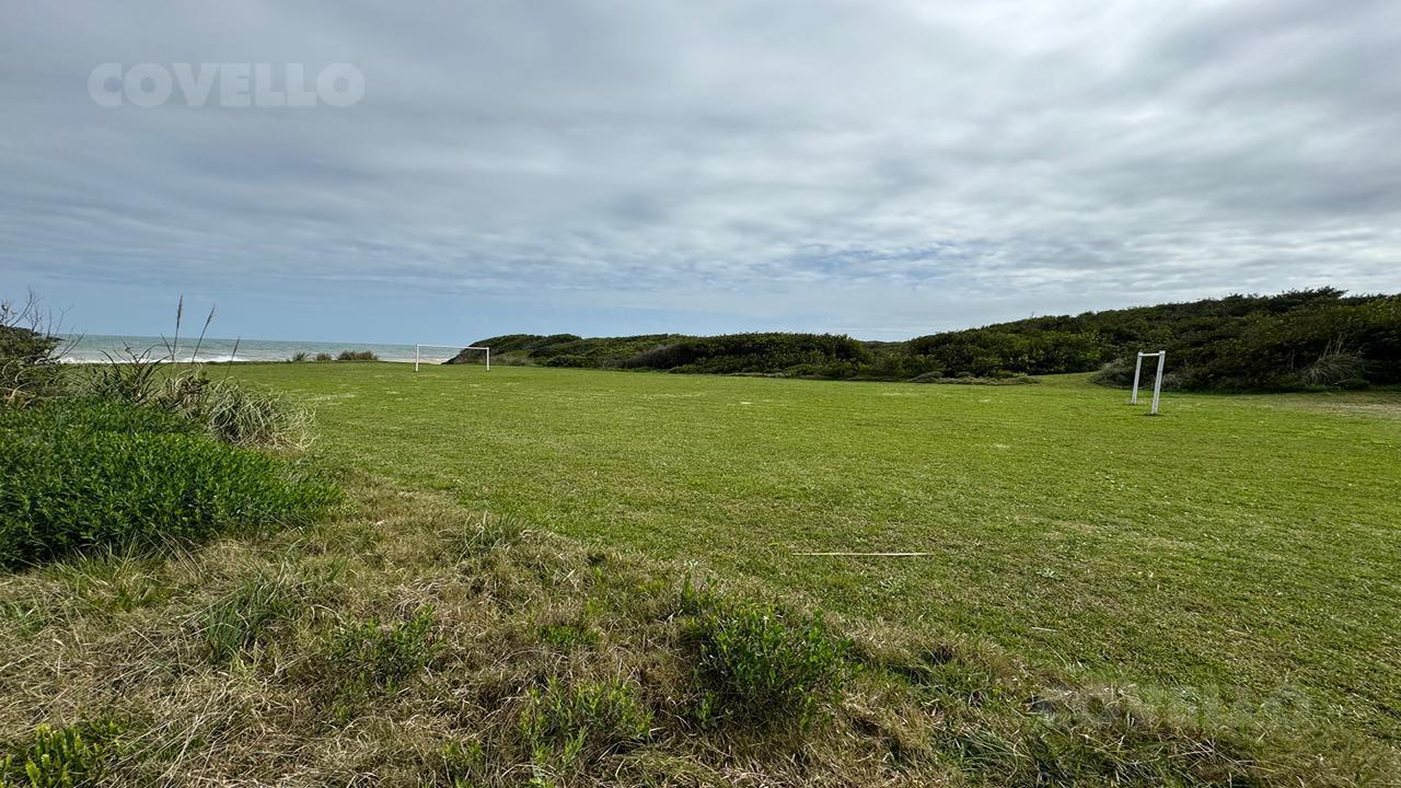 image 32