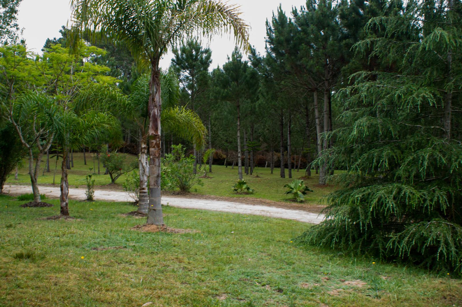 image 29