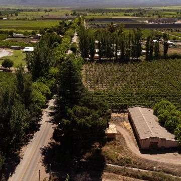 Finca en  Venta en Tunuyán