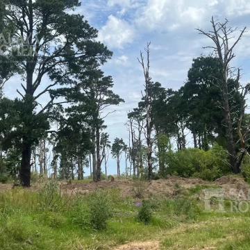 Lote en  Puerto Quetzal
