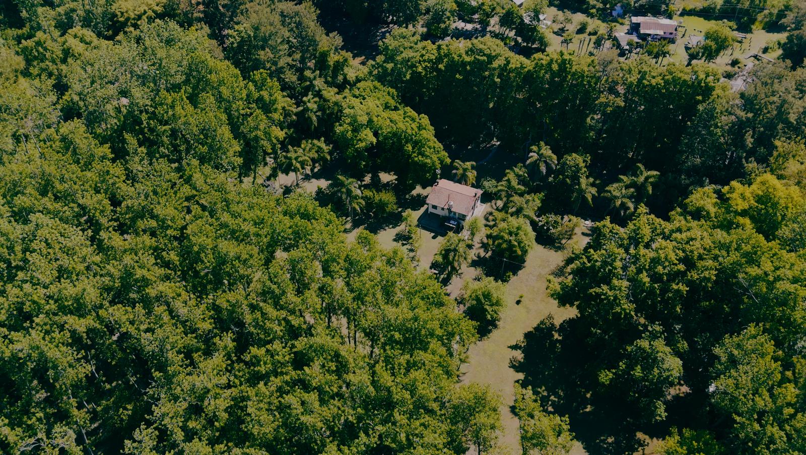 image 61