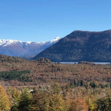 Lote de 4716m2. Ruta 40 Km 2179. Paraje Lago Hermoso. Lacar. S. M. Andes