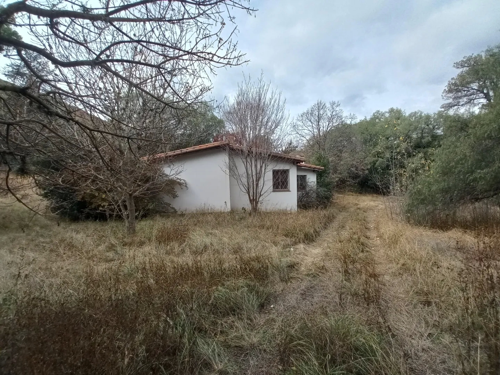 image 32