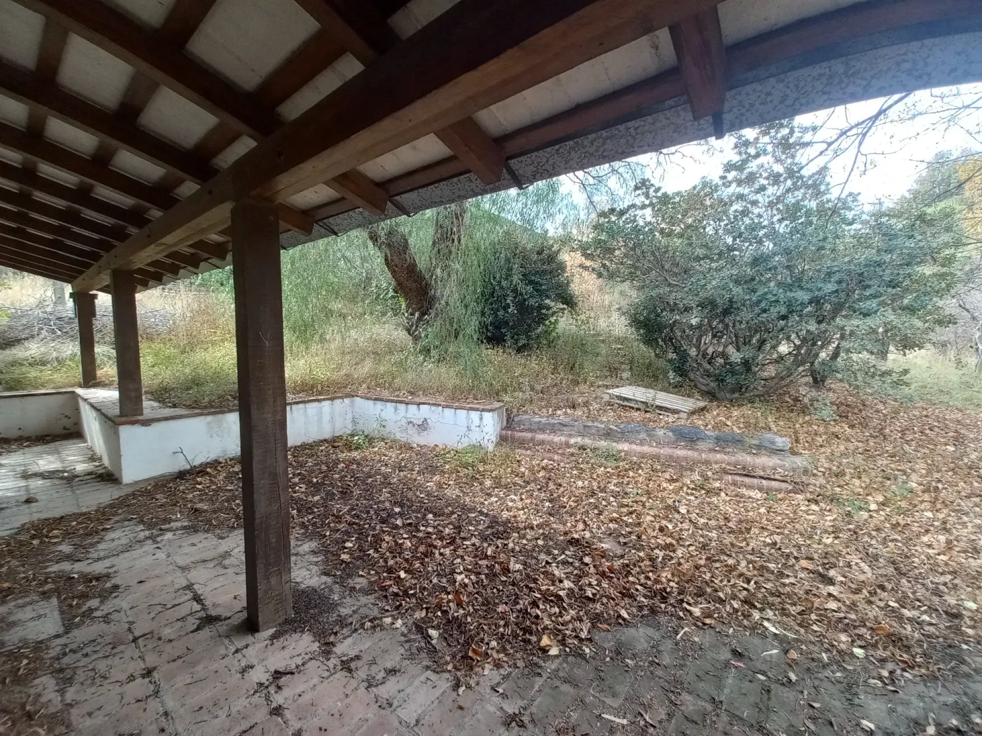 image 36
