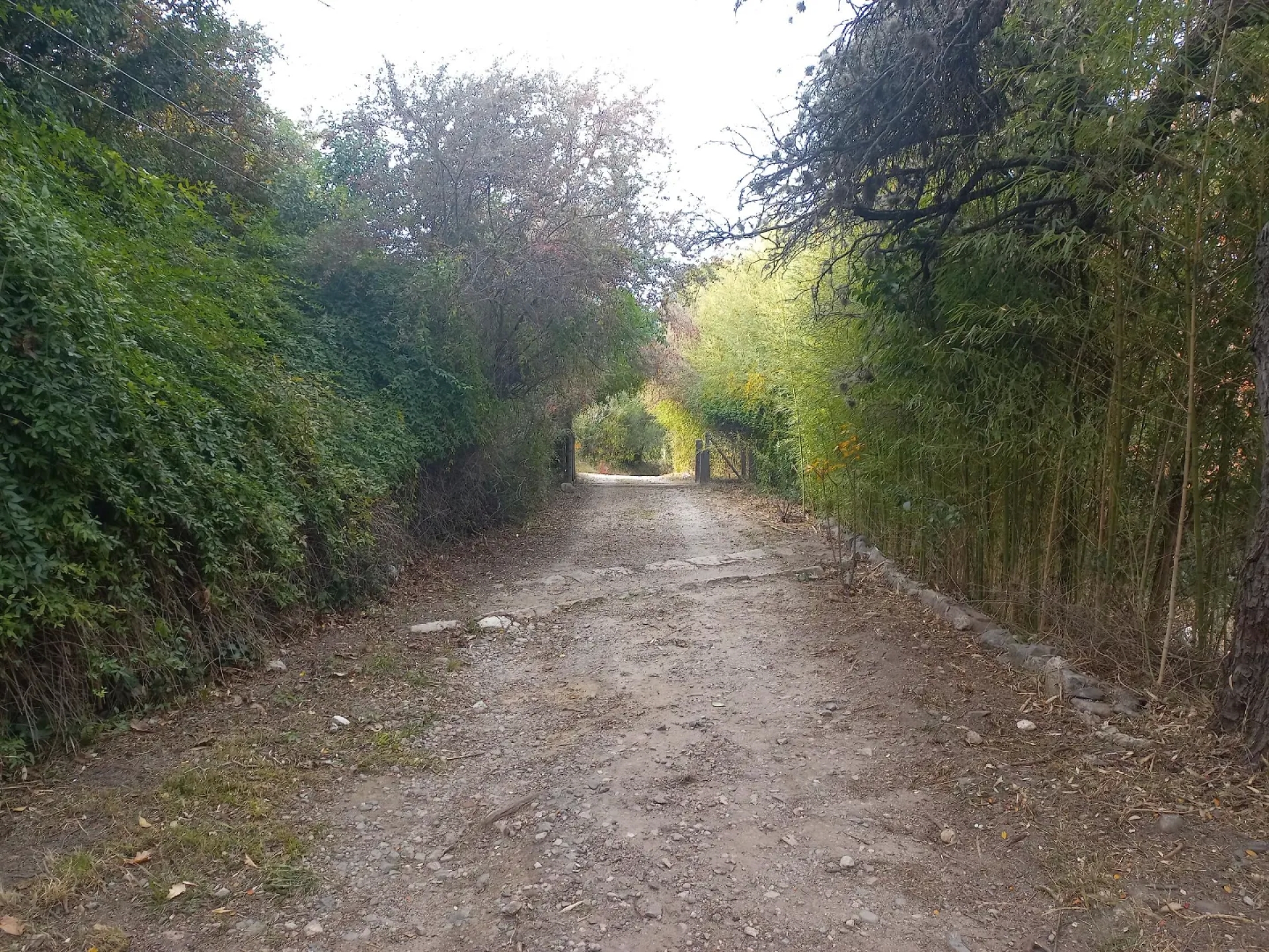 image 30