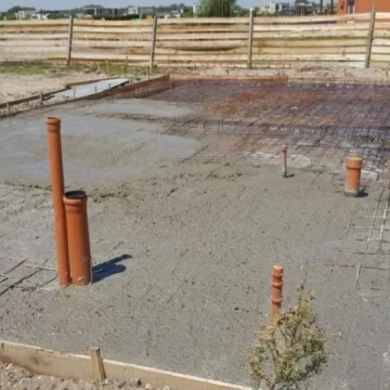 1733416098.jpg
