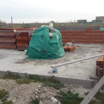1733416099.jpg