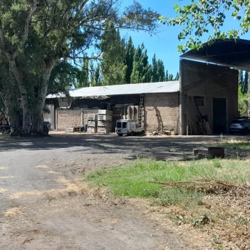 Chacra en  Venta , Villa Regina 