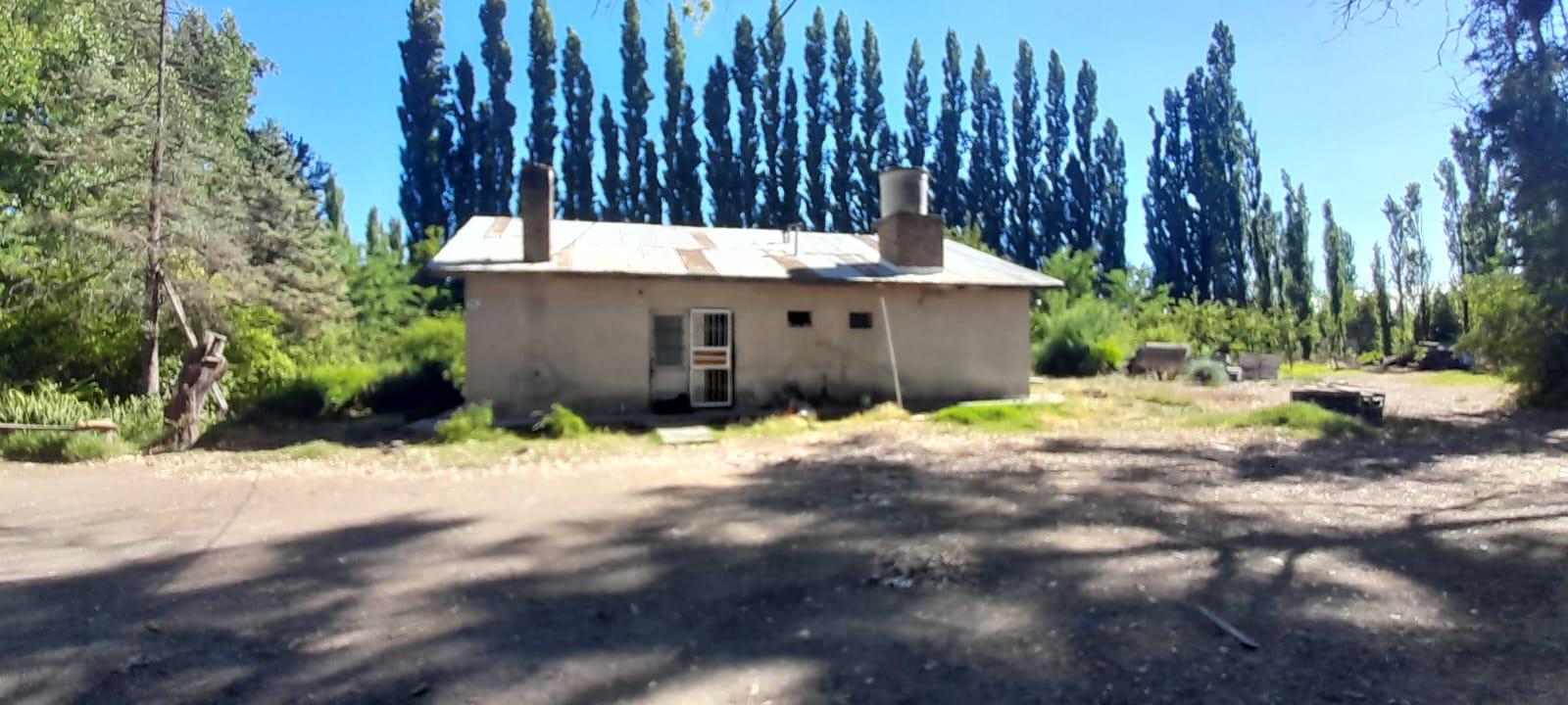 image 25
