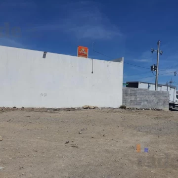 1734553053.jpg