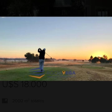1734614647.jpg